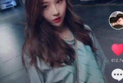 抖音女网红黑料在线看,真相与争议