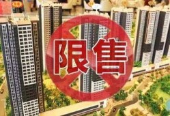 沈阳房产销售吃瓜爆料,吃瓜爆料背后的真相