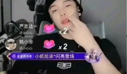 网红黑料在哪儿看的,追踪网络舆论背后的真相
